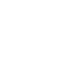 Vision